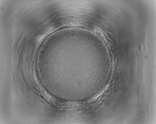 X0000088020145200705111138