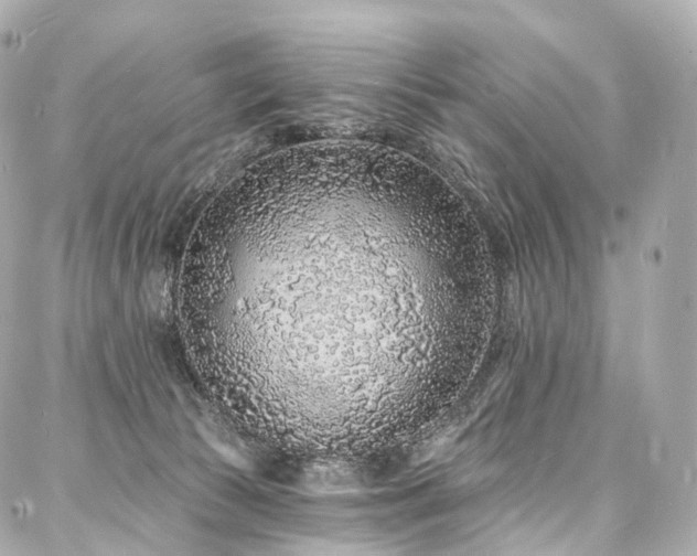 X0000088020177200705111138