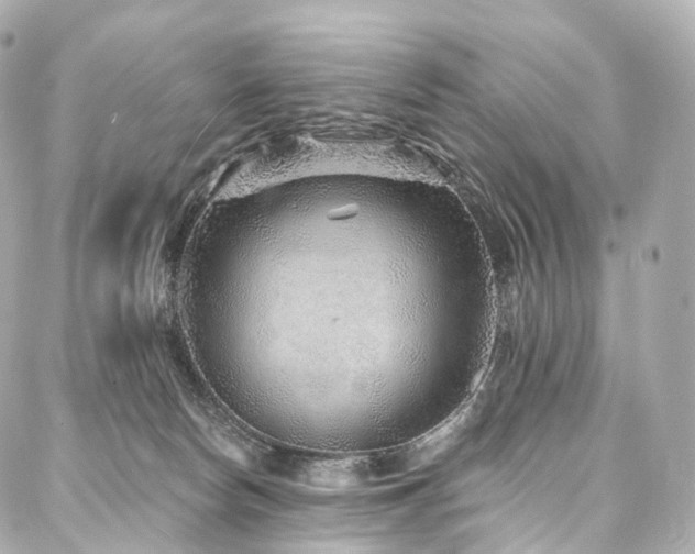 X0000088020178200705111138
