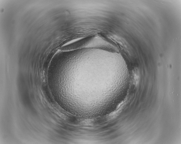 X0000088020182200705111138