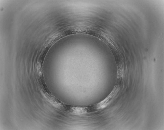X0000088020187200705111139