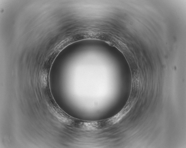 X0000088020188200705111139