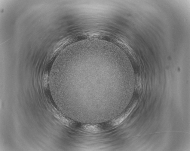 X0000088020189200705111139