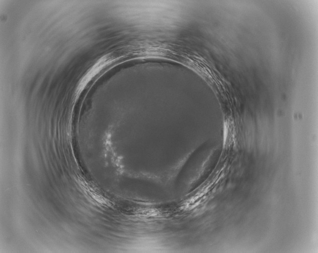 X0000088020195200705111138