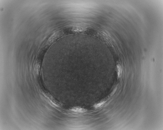 X0000088020227200705111137