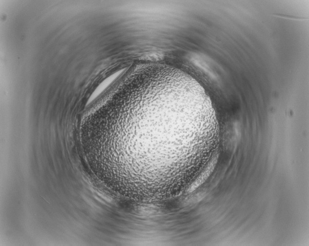 X0000088020229200705111137