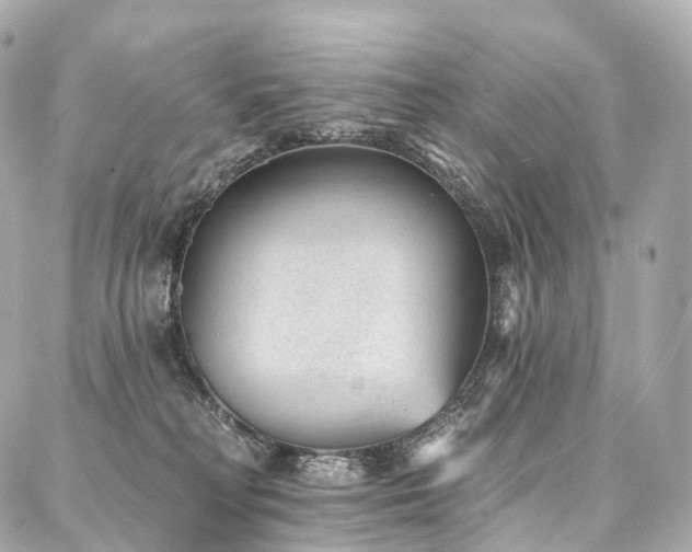 X0000088020230200705111137