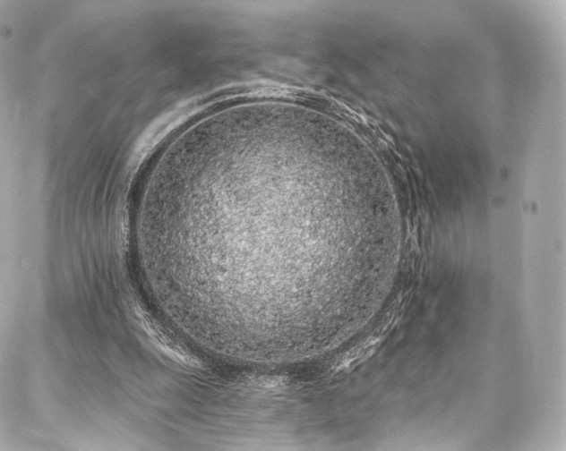 X0000088020247200705111136