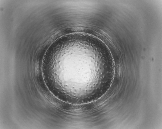X0000088020267200705111137
