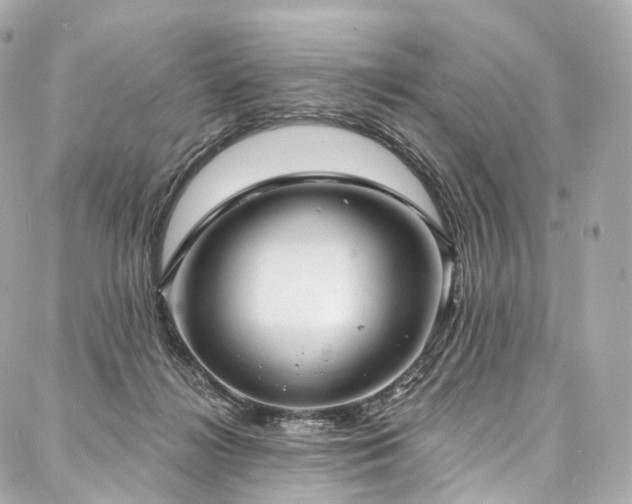 X0000088020268200705111137