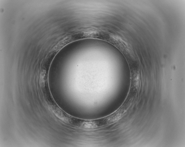 X0000088020275200705111137