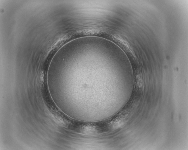 X0000088020308200705111136