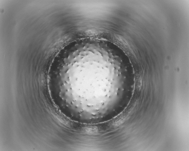 X0000088020317200705111136