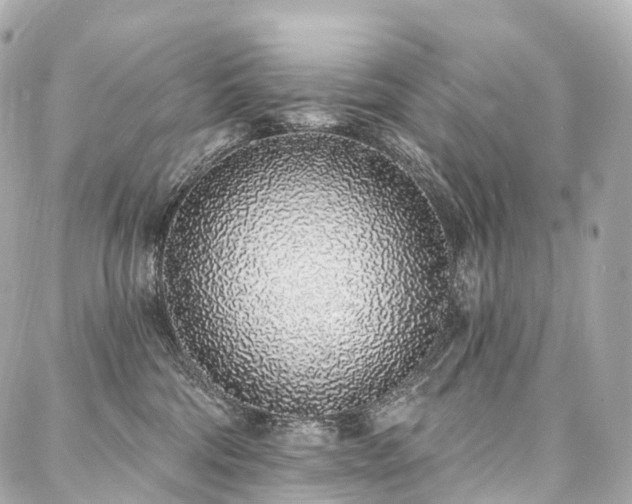 X0000088020330200705111136