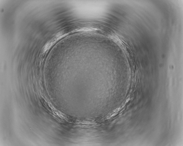 X0000088020337200705111135