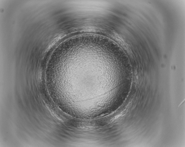 X0000088020347200705111135