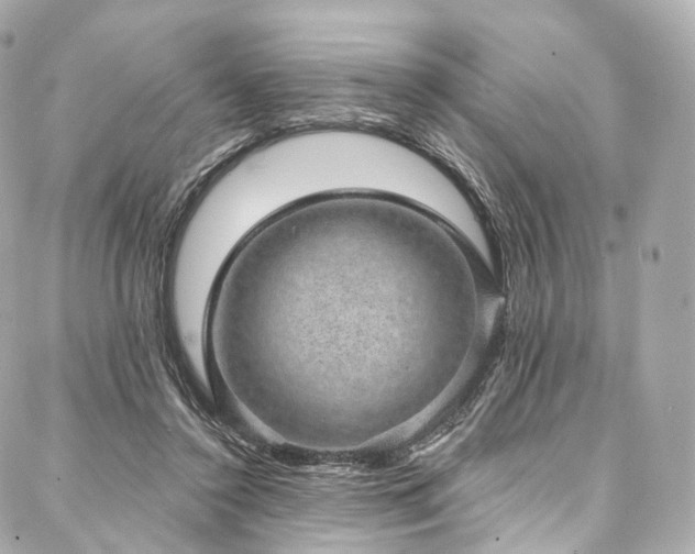 X0000088020356200705111135