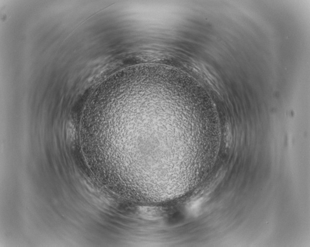 X0000088020371200705111135