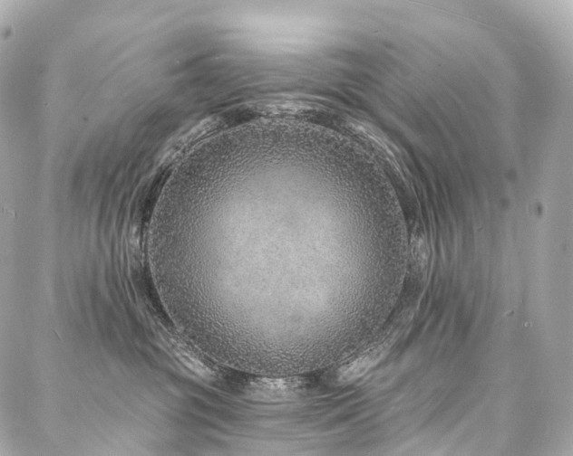 X0000088020381200705111135