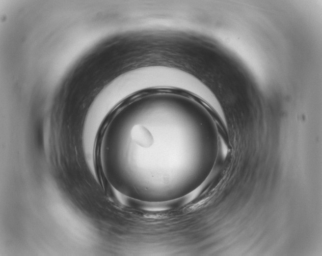X0000088020382200705111135