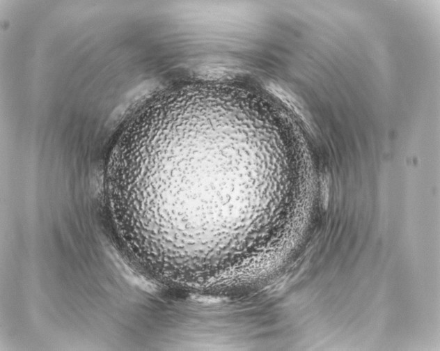 X0000088020407200705111134