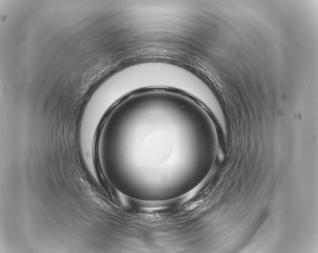 X0000088020411200705111134