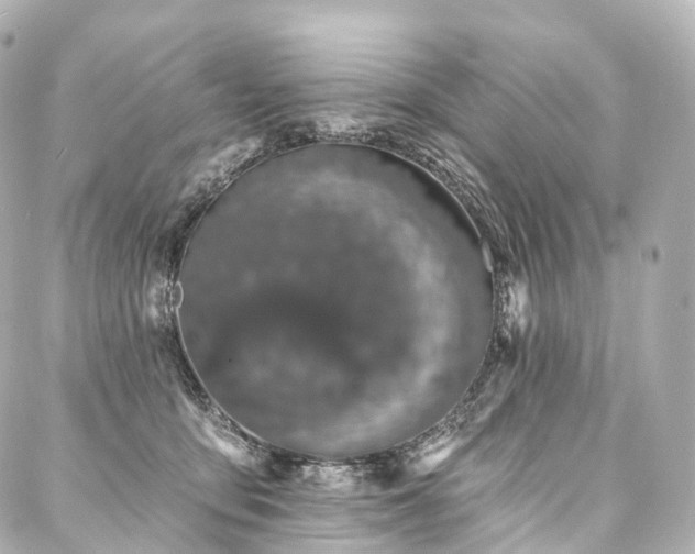 X0000088020419200705111134