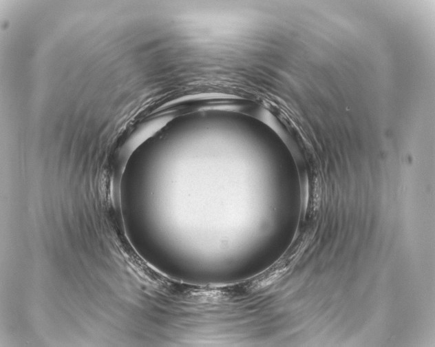 X0000088020428200705111134