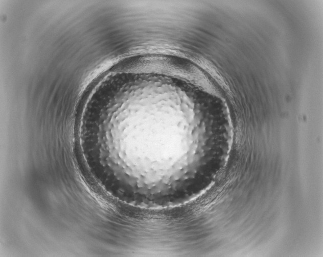 X0000088020438200705111133