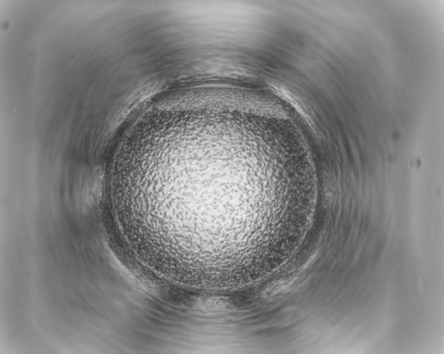 X0000088020451200705111133