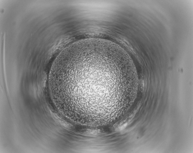 X0000088020458200705111134