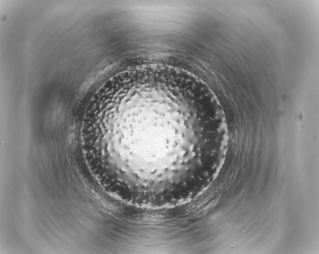 X0000088020462200705111134