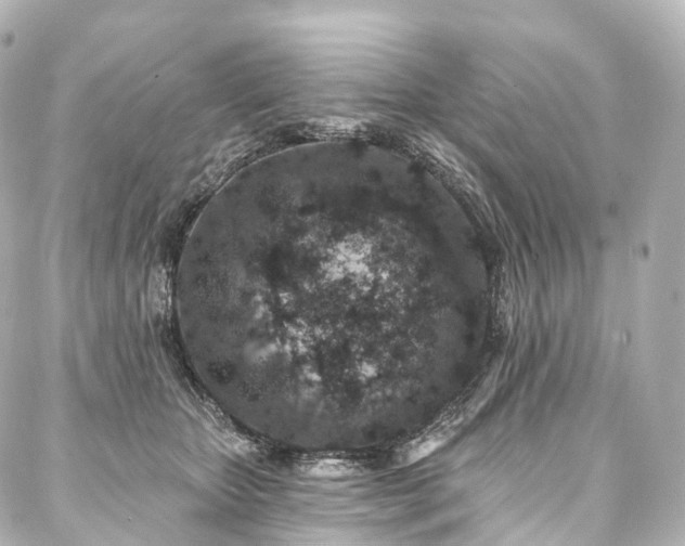 X0000088020467200705111134