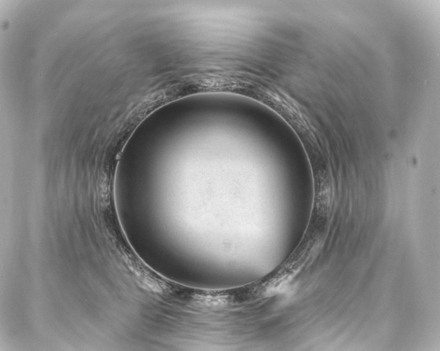 X0000088020469200705111134