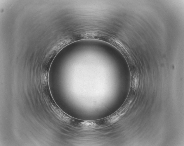 X0000088020477200705111134