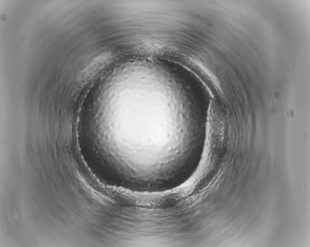 X0000088020493200705111133