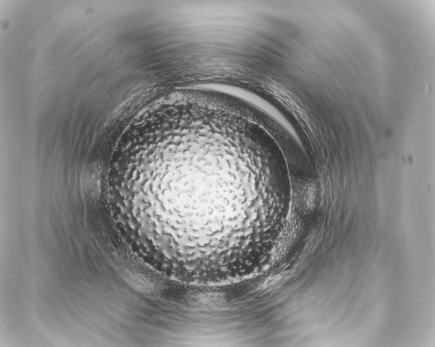X0000088020501200705111133