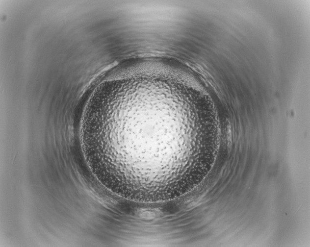 X0000088020508200705111133