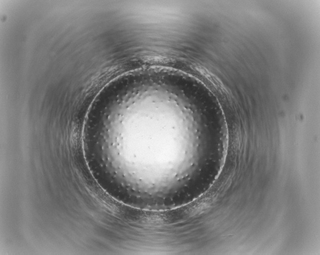 X0000088020513200705111133