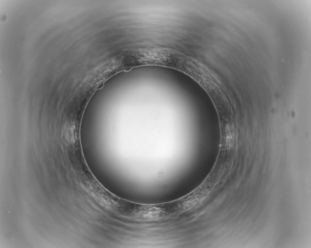 X0000088020514200705111133