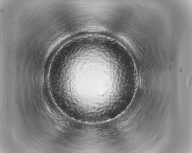 X0000088020531200705111132