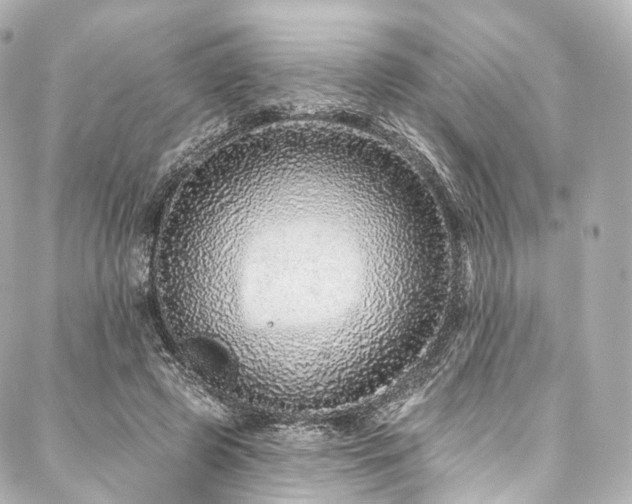 X0000088020545200705111132