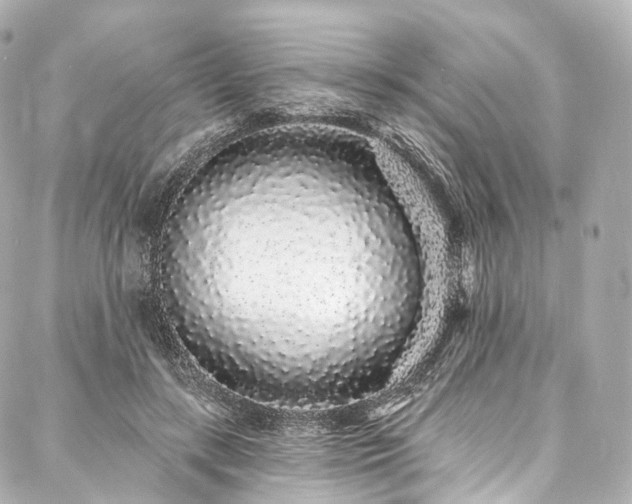 X0000088020547200705111132