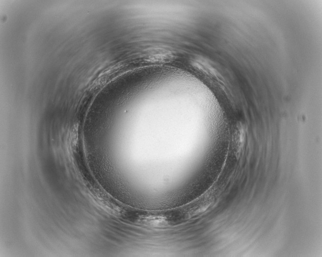 X0000088020554200705111132