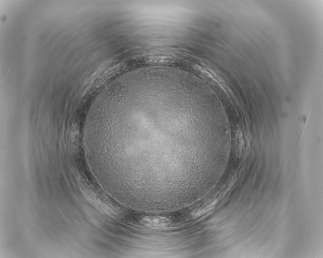 X0000088020557200705111132