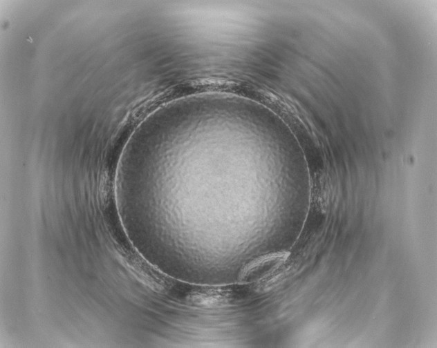 X0000088020563200705111132