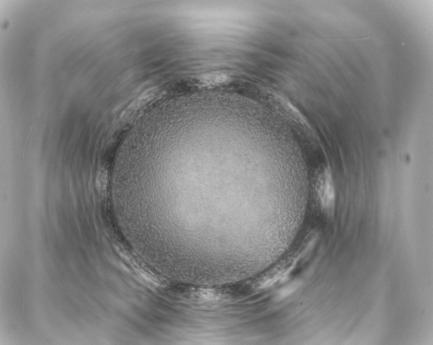 X0000088020565200705111132
