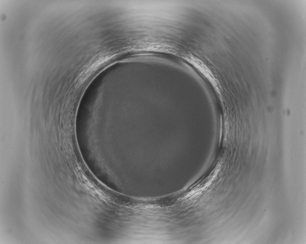 X0000088020577200705111132