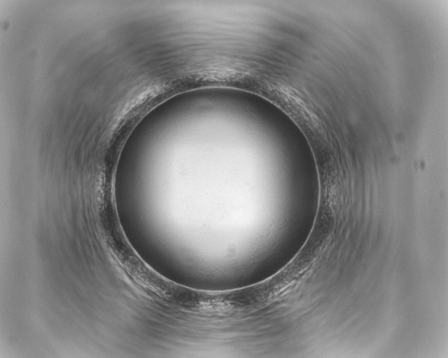 X0000088020591200705111131