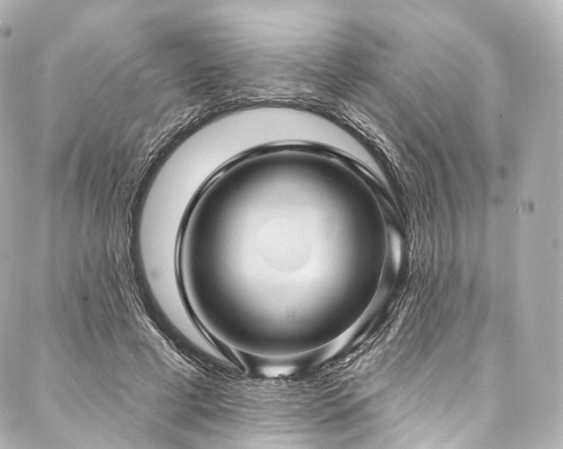 X0000088020593200705111131